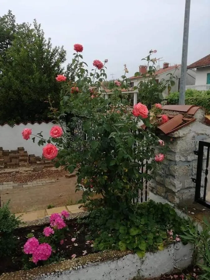 Apartments Jug Poreč